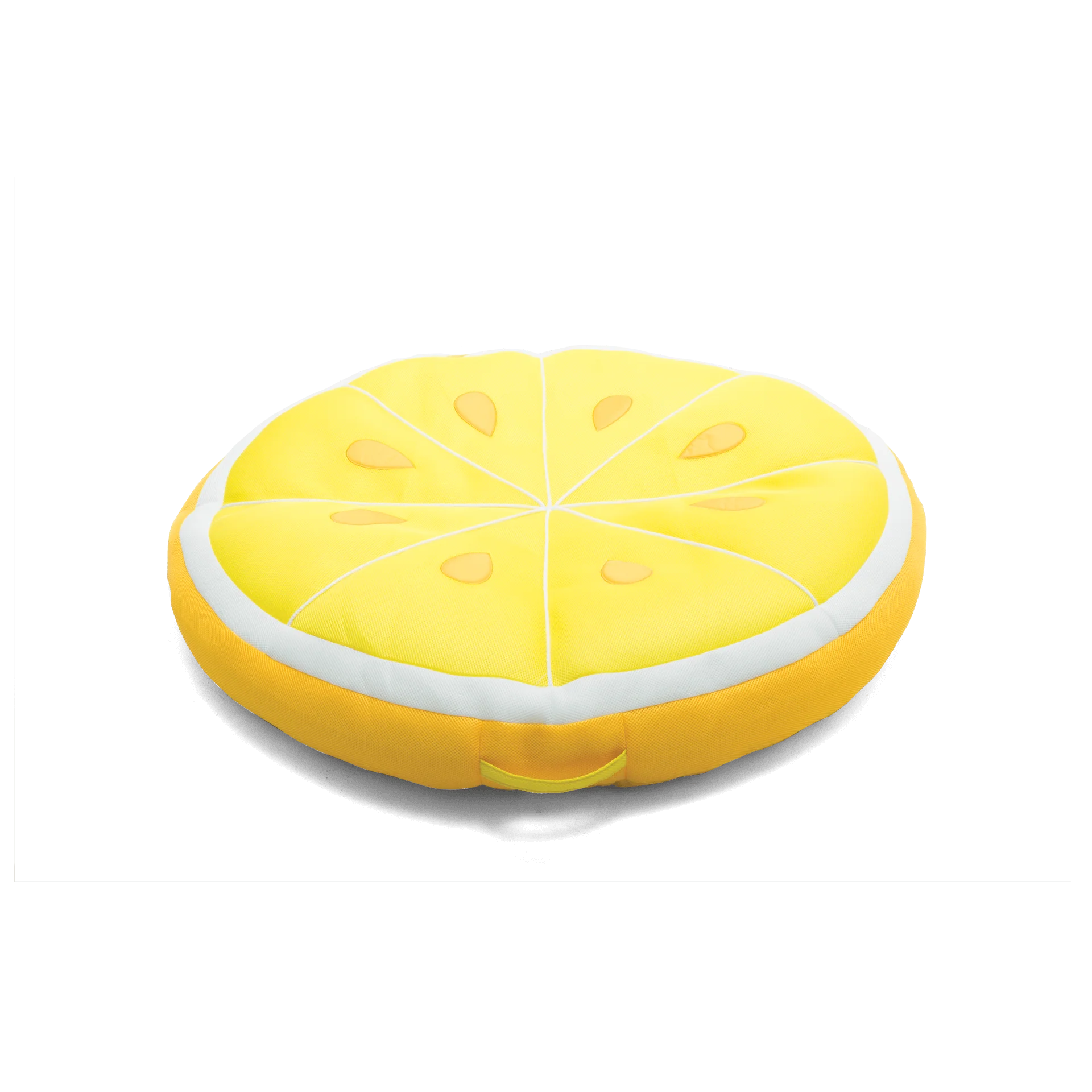 Fruit Slice Large - Image 23