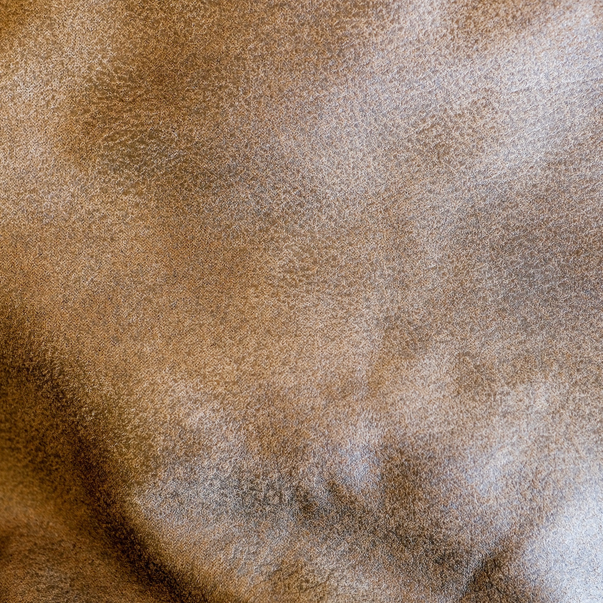 Fuf Cover Only - Image 77