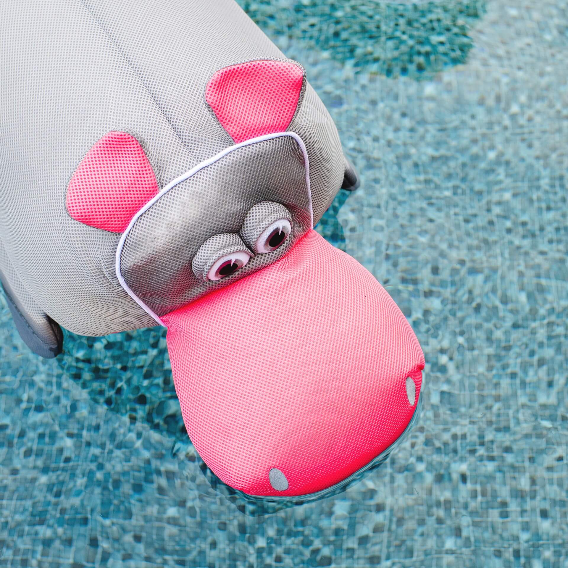 Pool Petz® Large - Image 22