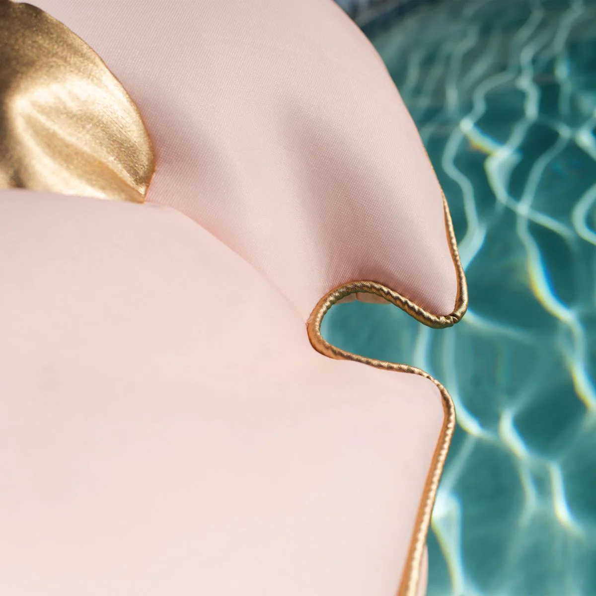 Sand Dollar - Image 11