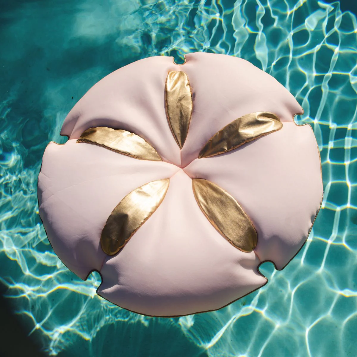 Sand Dollar - Image 12