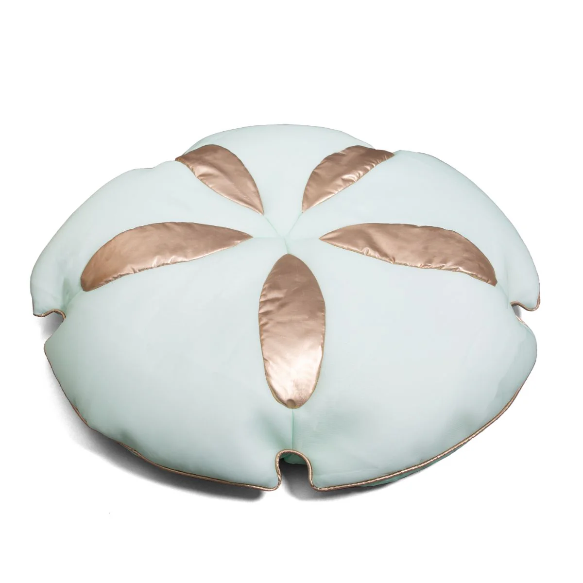 Sand Dollar - Image 6