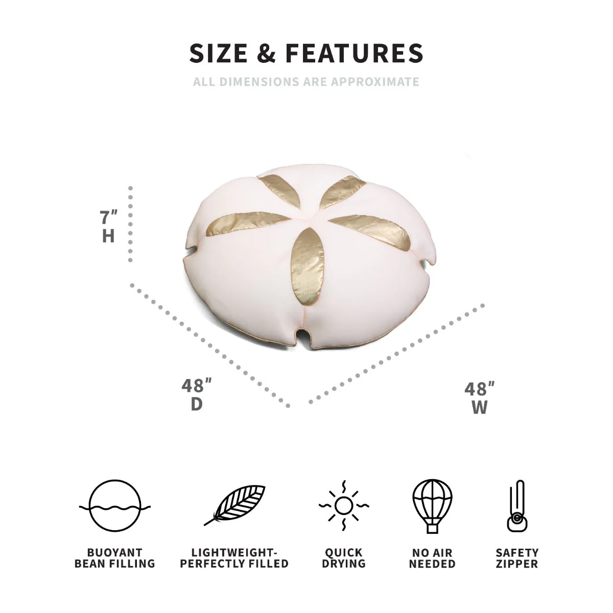 Sand Dollar - Image 8