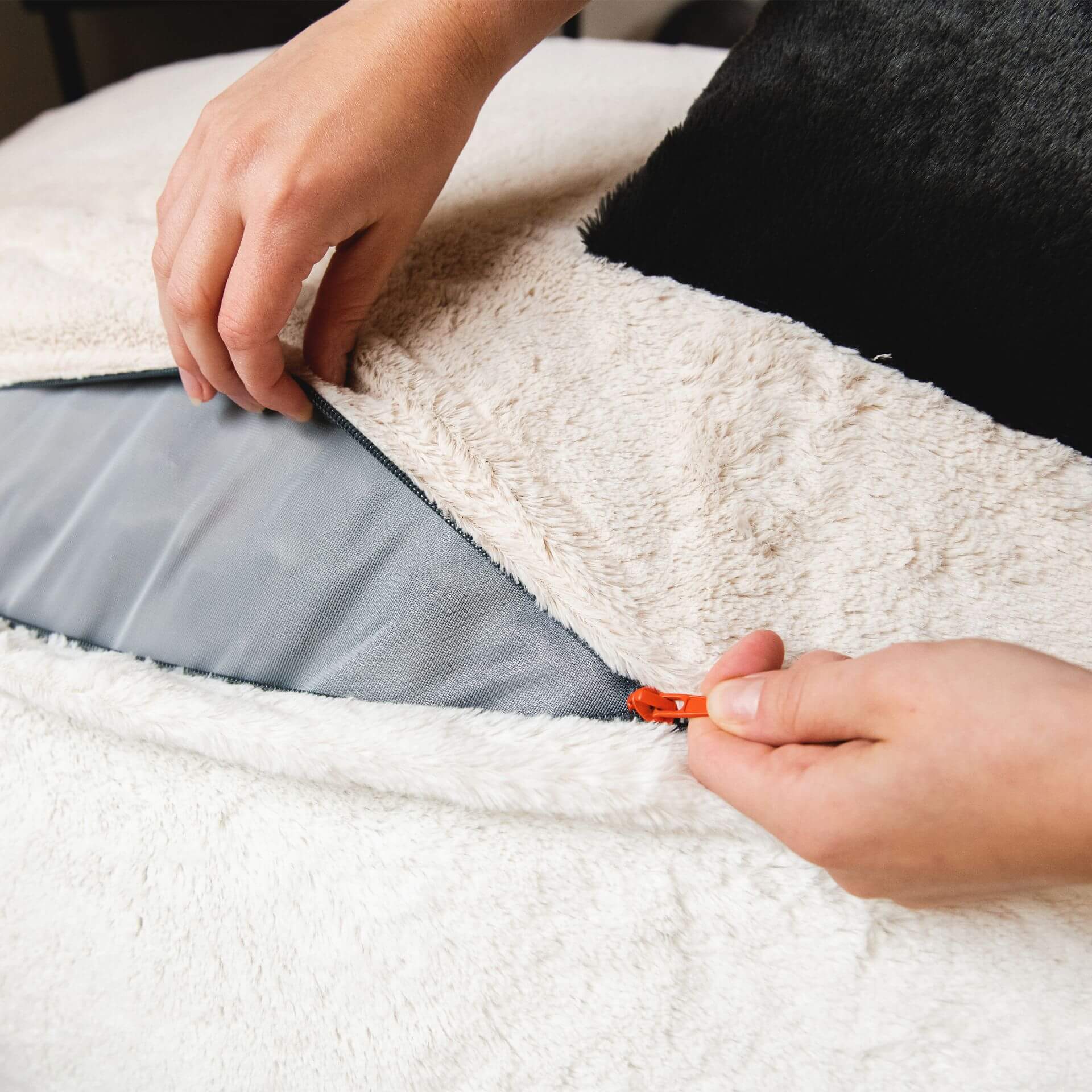 Wild Things Francesca Feline - Image 7