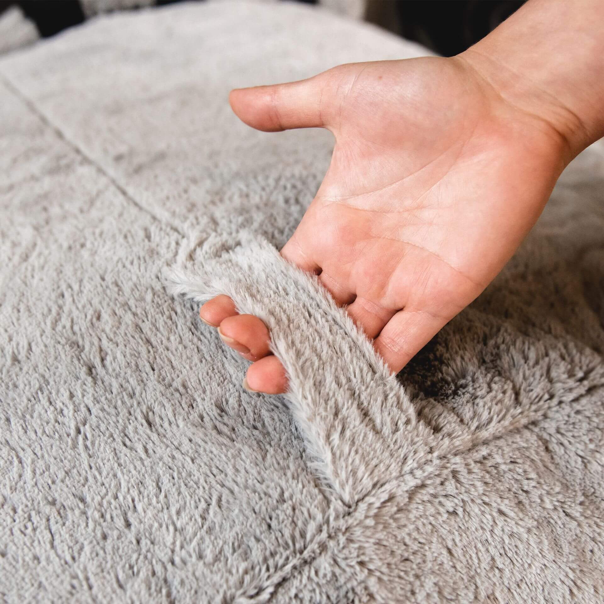 Wild Things Rocky Raccoon - Image 7